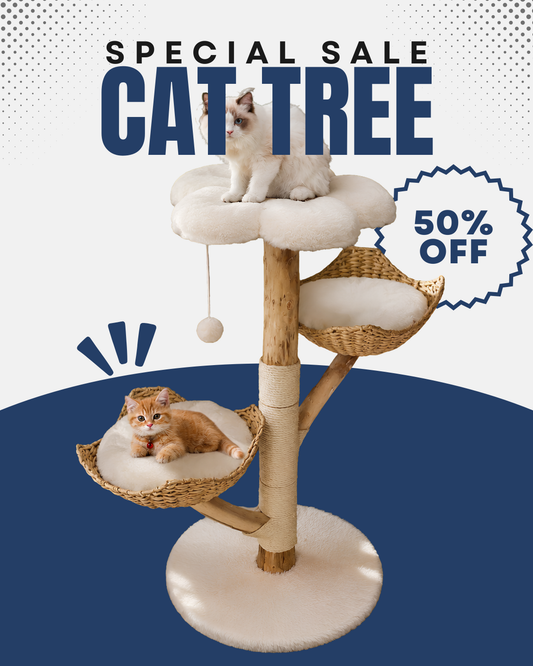 Luxury Wooden Cat Tree Tower with Scratching Post & Plush Beds 🐈‍⬛