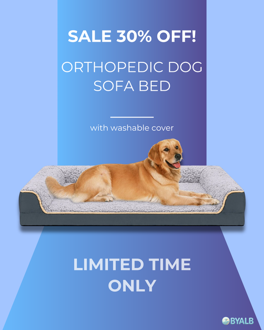 Orthopedic dog sofa bed with washable cover | Egg crate foam support for large dogs 🐾