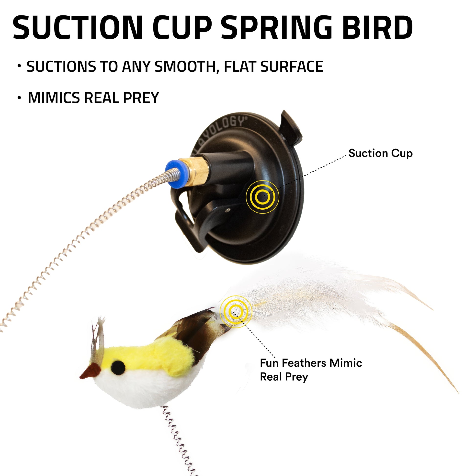 Cat Toys | Interactive Suction Cup Spring Bird Feather Toy for Cats
