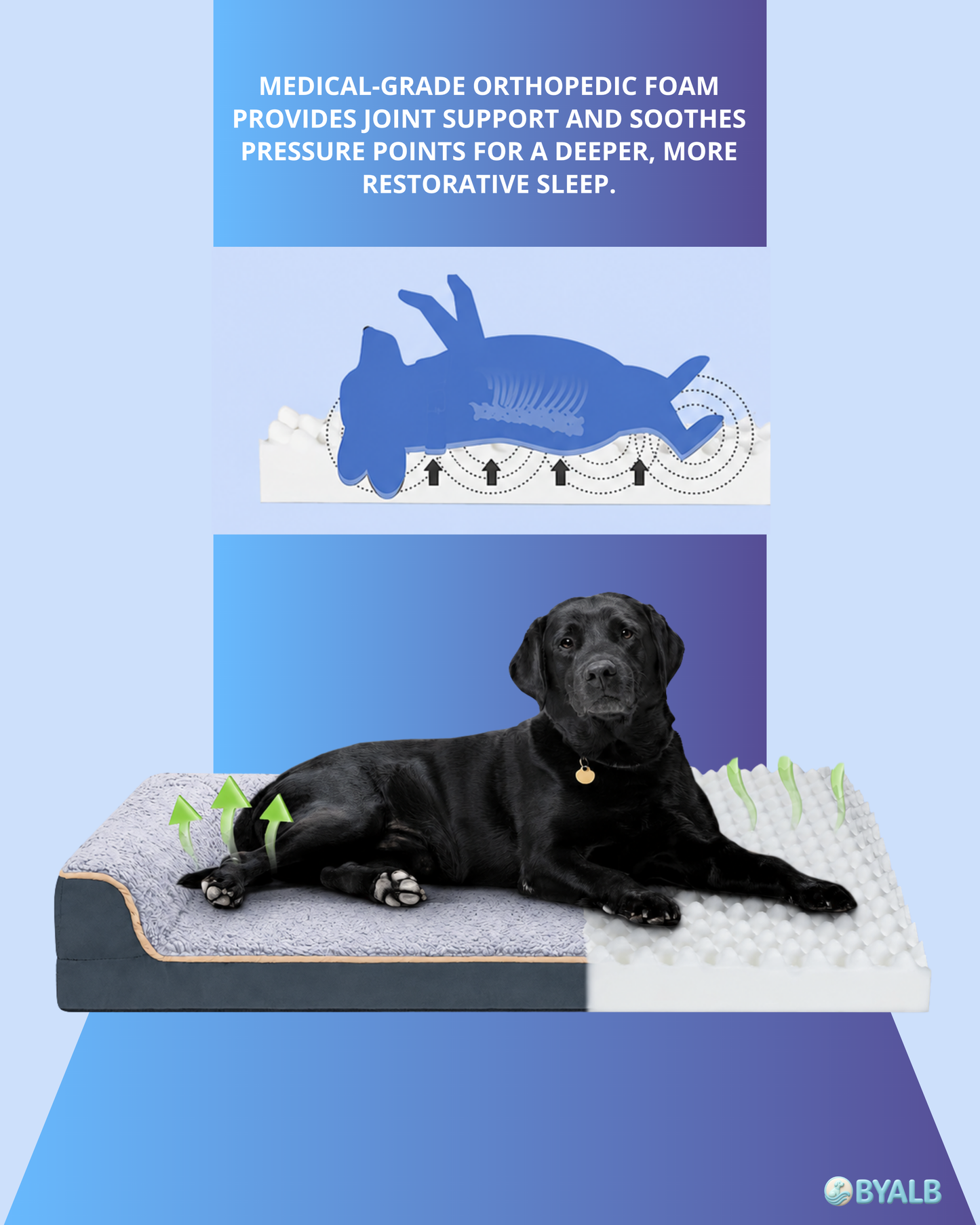 Orthopedic dog sofa bed with washable cover | Egg crate foam support for large dogs 🐾