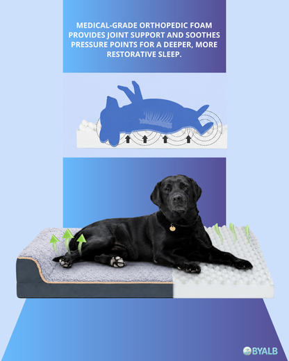 Orthopedic dog sofa bed with washable cover | Egg crate foam support for large dogs 🐾