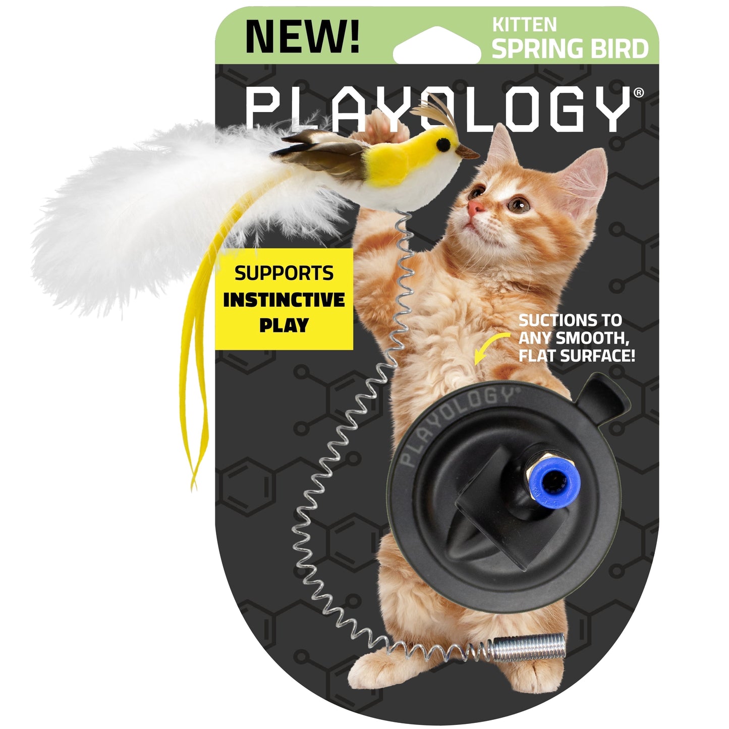 PLAYOLOGY™ Interactive Spring Bird Cat Toy | Suction Cup Indoor Cat Tease